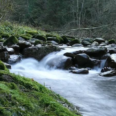 Engelhardt アパート